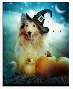 Halloween hund