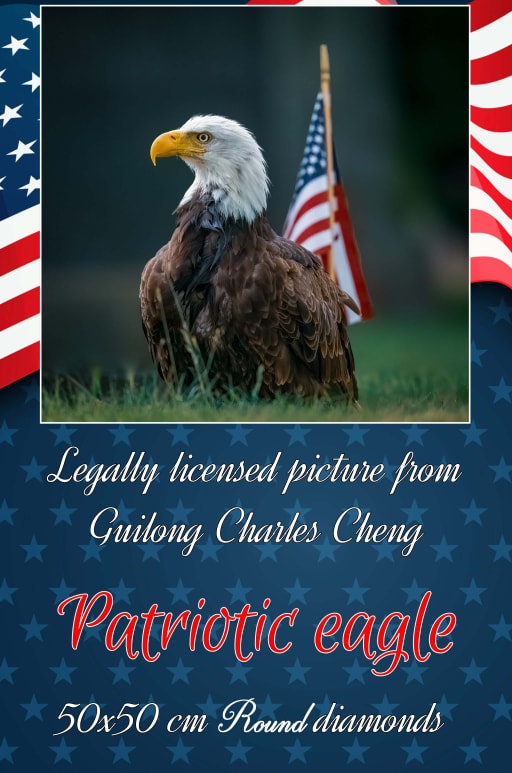 Ørn Patriotic eagle ©Guilong Charles Cheng