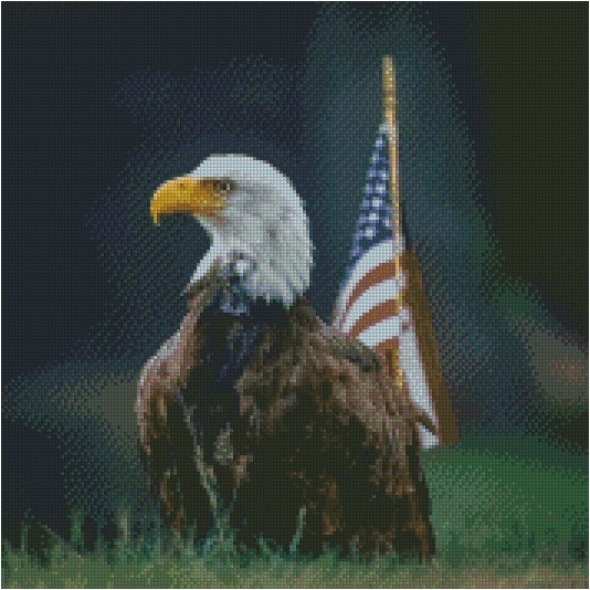 Ørn Patriotic eagle ©Guilong Charles Cheng