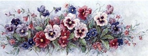 Stemorsblomster