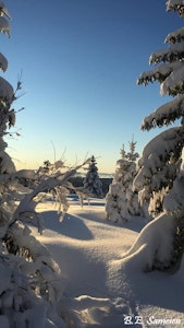 Vinter på Sjusjøen