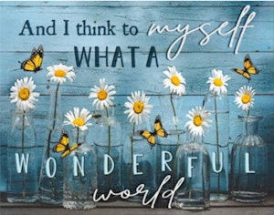And I think to myself..