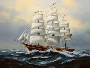Seilskute