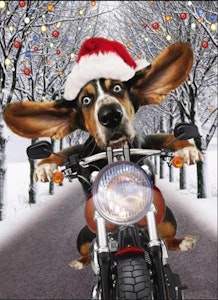 Hjem til jul