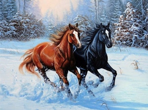 To hester i snø