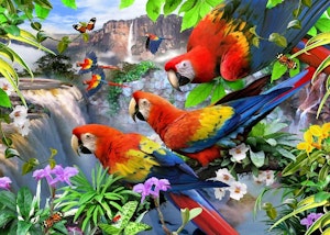 Lisensiert bilde Howard Robinson Flight of the Macaw