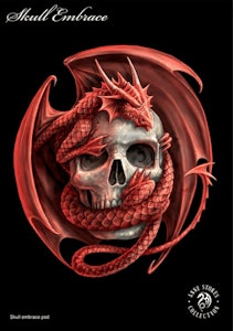 Lisensiert bilde Anne Stokes Skull Embrace