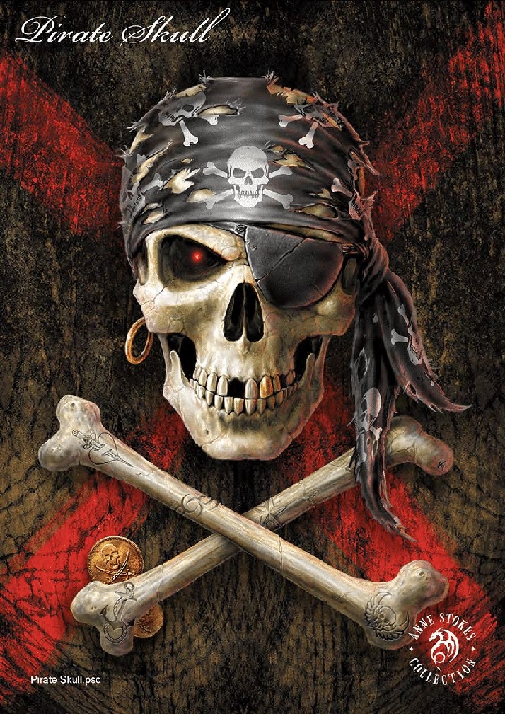 Lisensiert bilde Anne Stokes Pirate Skull