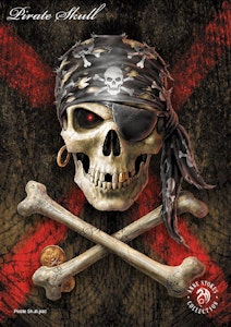 Lisensiert bilde Anne Stokes Pirate Skull