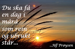 Du ska få en dag i mårå