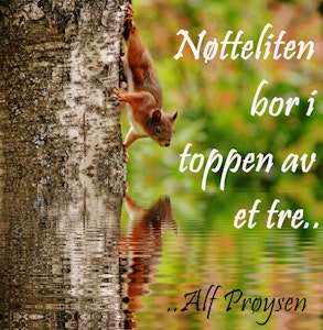 Nøtteliten