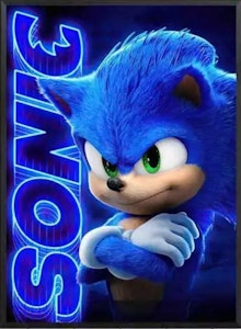 Sonic