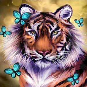 Tiger og sommerfugler