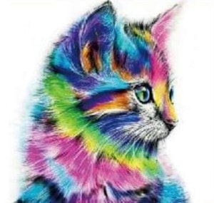 Regnbue farget katt