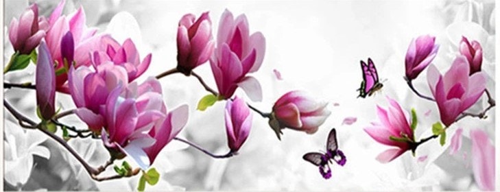 Magnolia grein delvis perlet