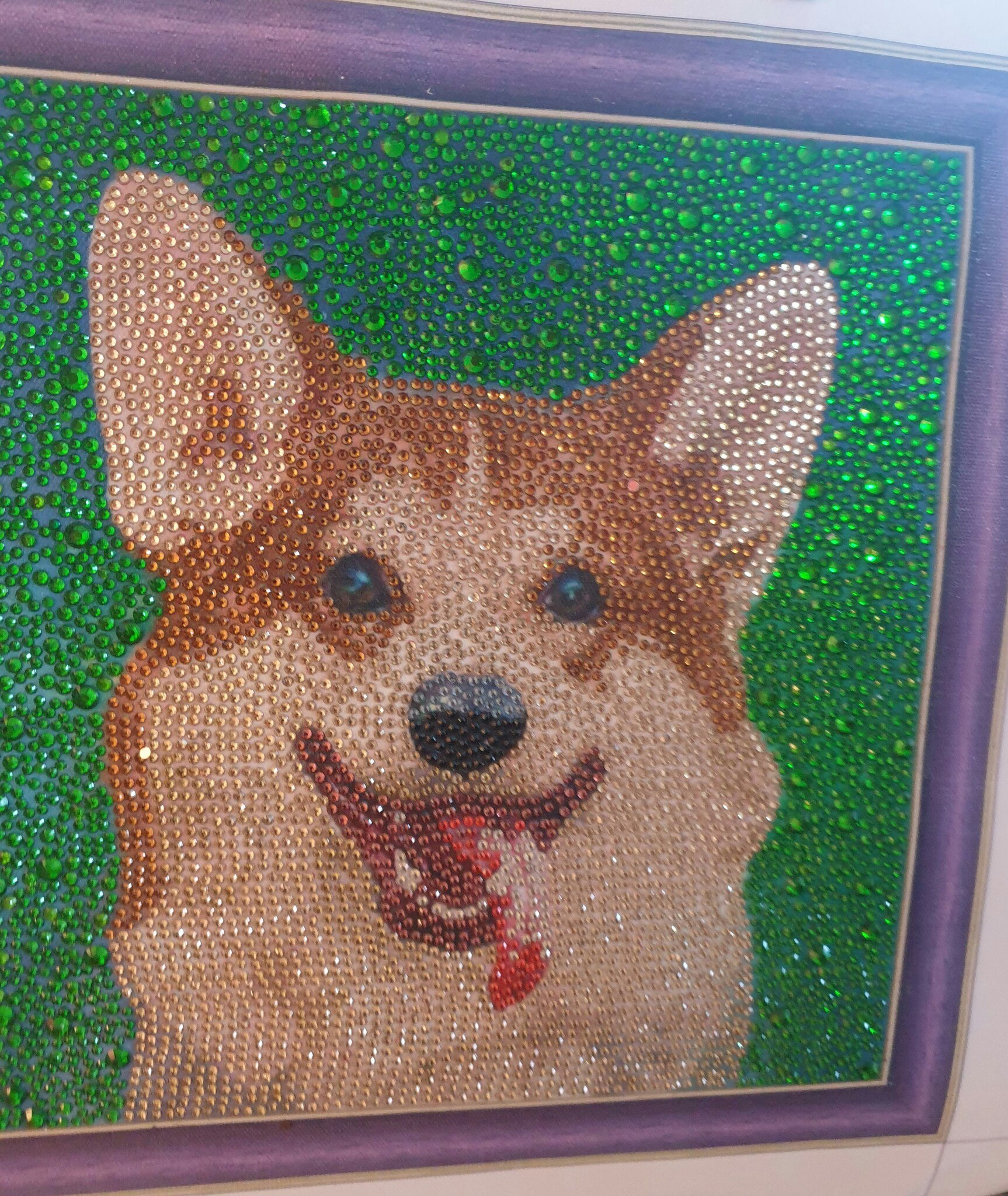 Hund