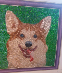 Hund