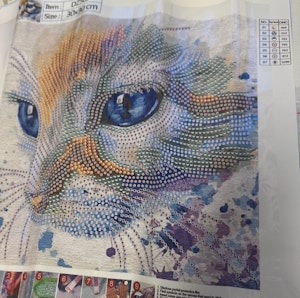 Fargerik katt delvis perlet