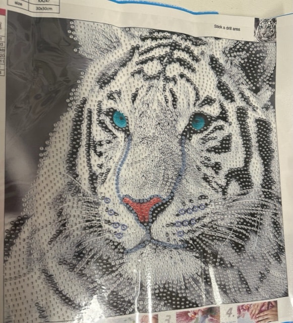 Tiger delvis perlet