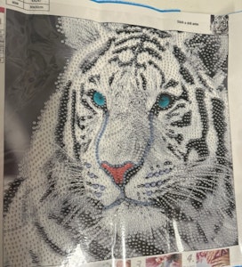 Tiger delvis perlet