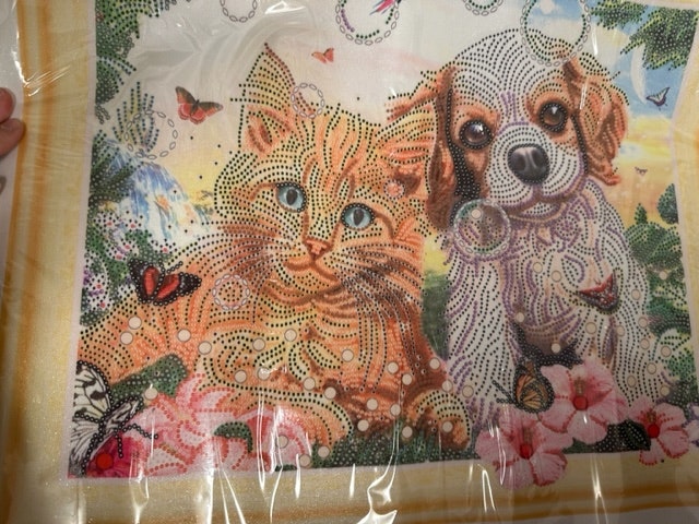 Hund og katt delvis perlet