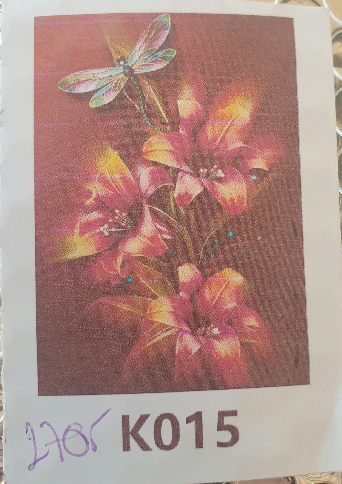 Øyenstikkere med plakat oppheng