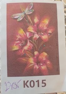 Øyenstikkere med plakat oppheng