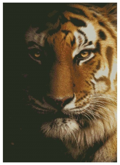 Golden Tiger ©MK5 studio