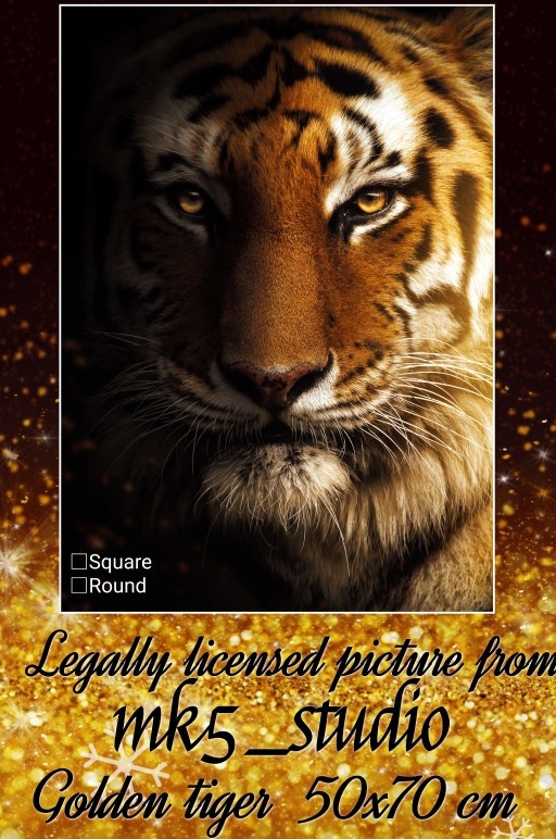Golden Tiger ©MK5 studio
