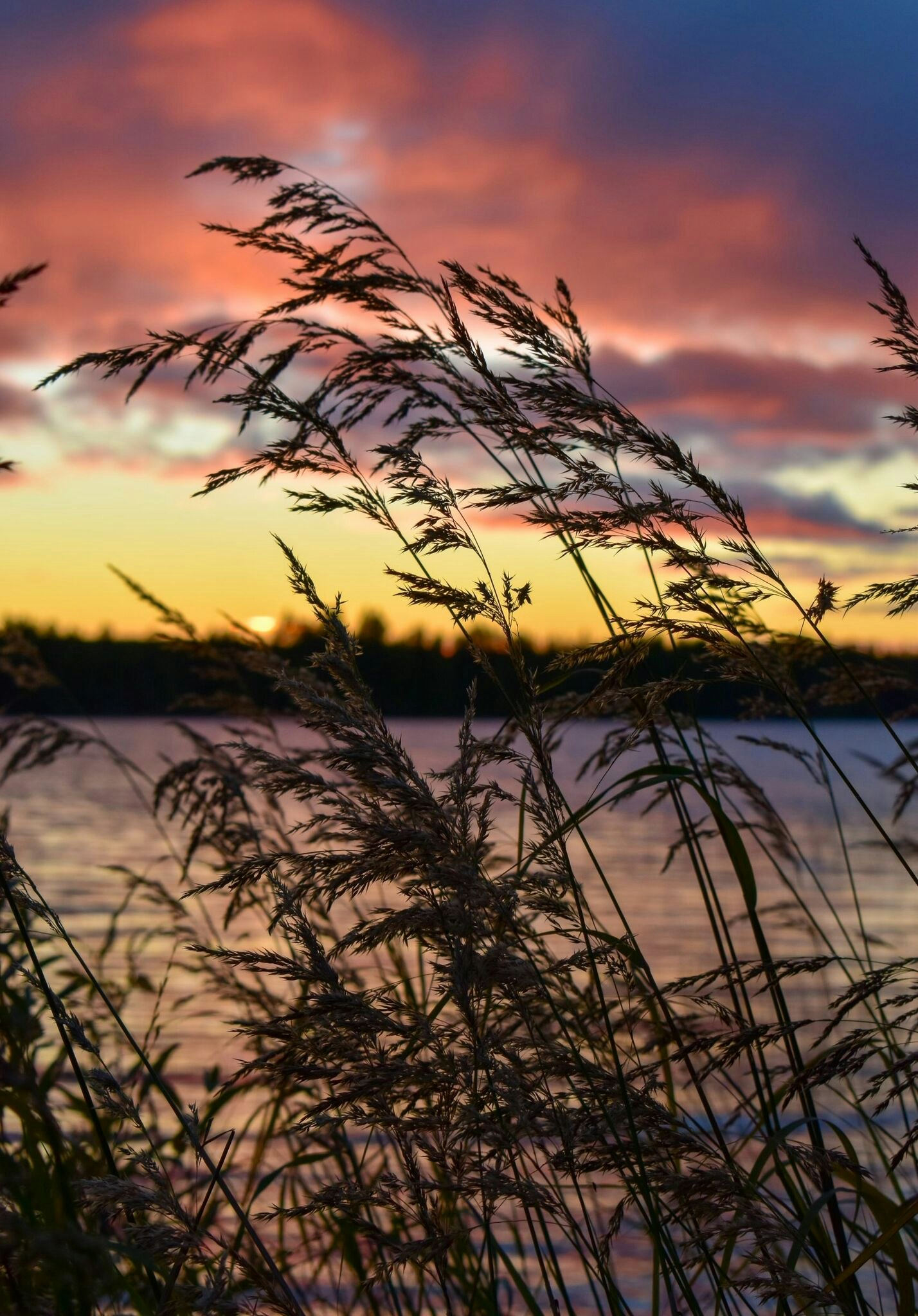 Natur Autumn Whispered to the wind.. ©Sari Heikkinen
