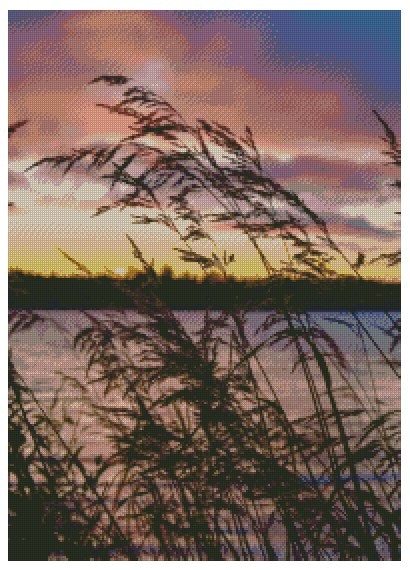 Natur Autumn Whispered to the wind.. ©Sari Heikkinen