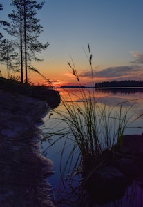 Natur Because when you stop and look around.. ©Sari Heikkinen