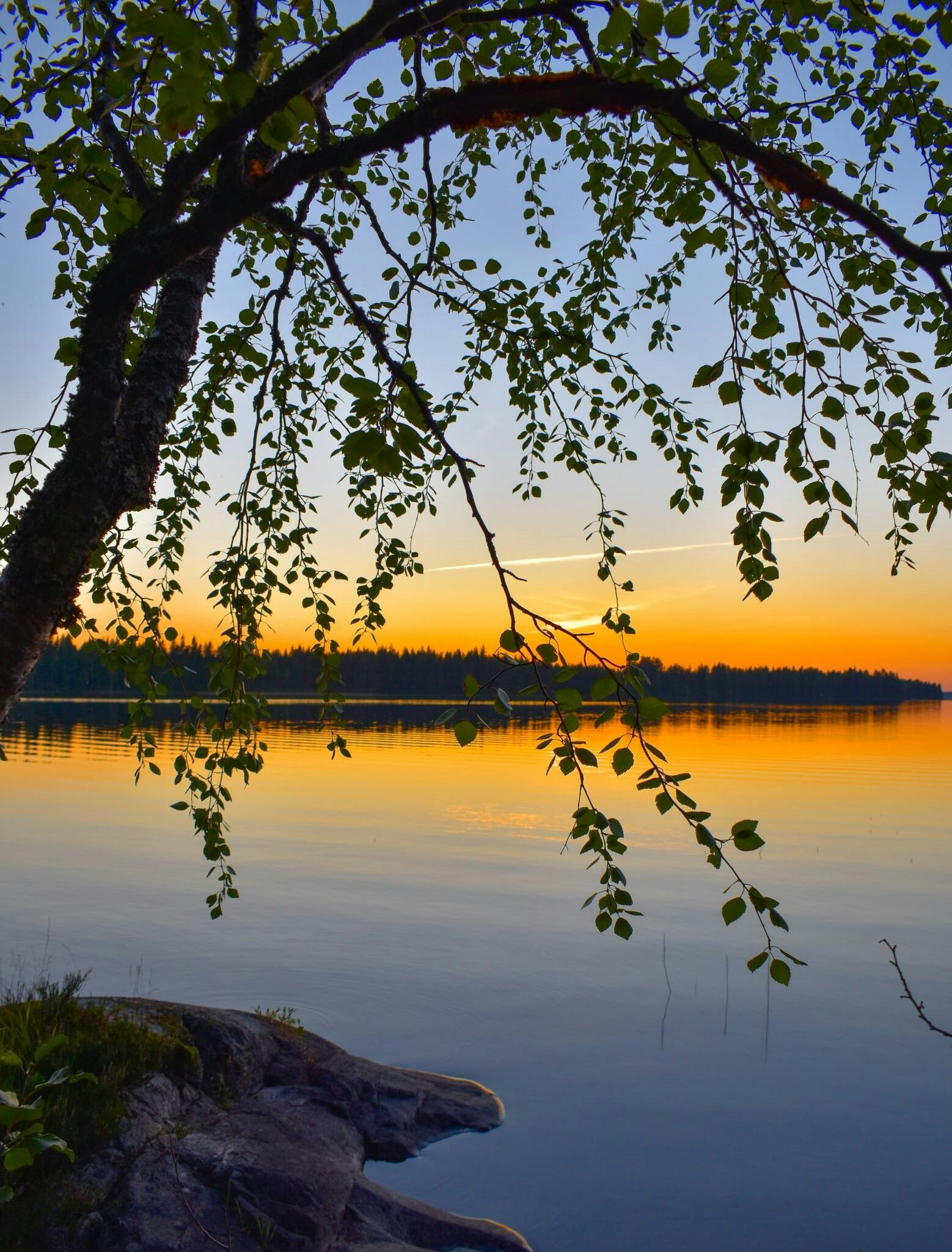 Natur Leave me in the heart of nature.. ©Sari Heikkinen