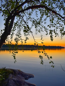Natur Leave me in the heart of nature.. ©Sari Heikkinen