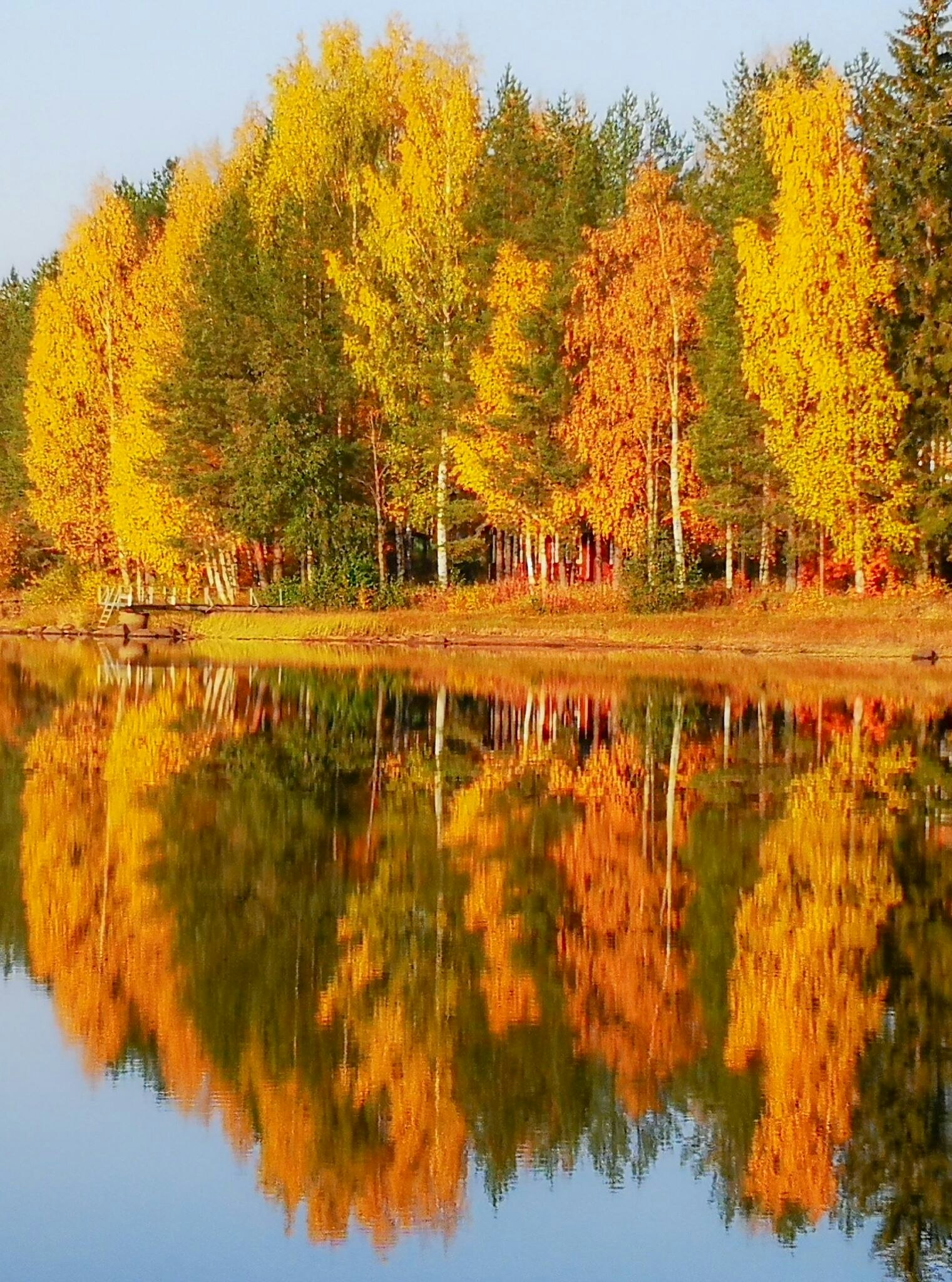 Natur høst The colours of autumn ©Sari Heikkinen