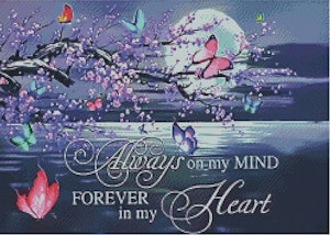 Always on my mind