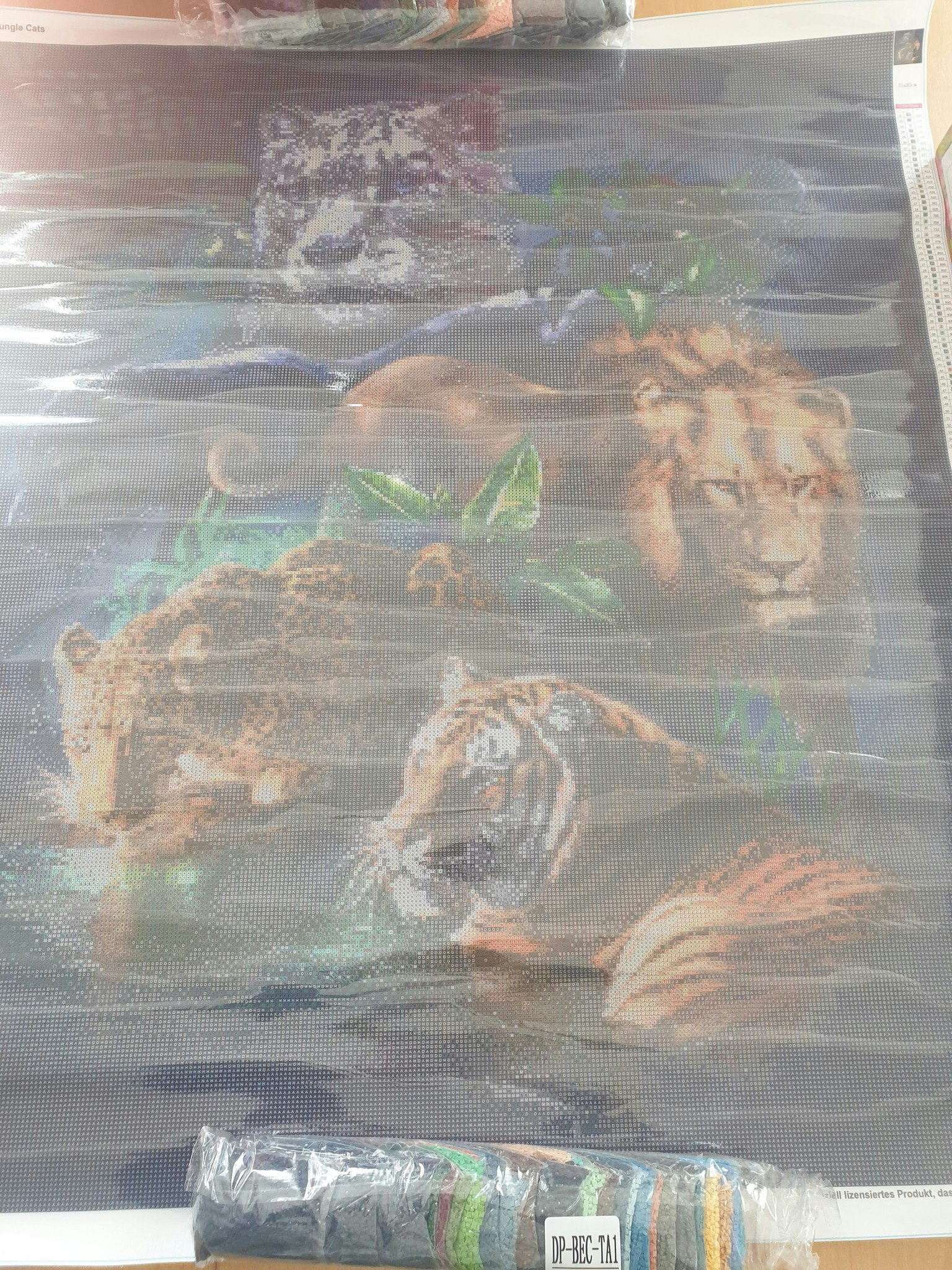 Lisensiert bilde Tami Alba Big Jungle Cats