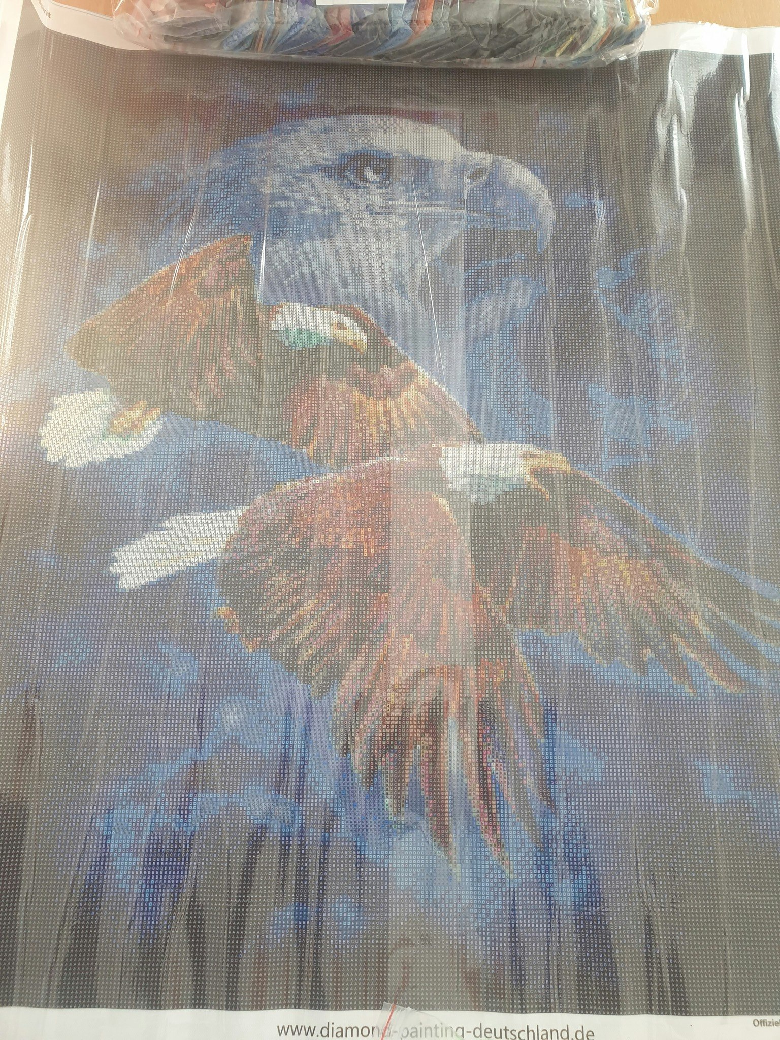 Tami Alba Eagle Spirit Lisensiert bilde