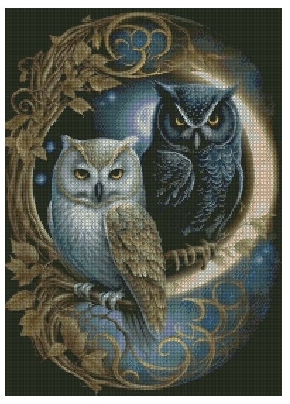 To ugler med noen AB farger  ©Morgana.fantasy.ai