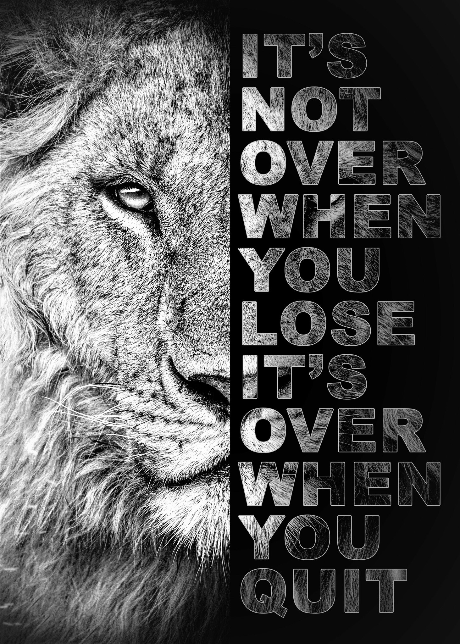 Løve its not over when you lose.. ©MK5 studio