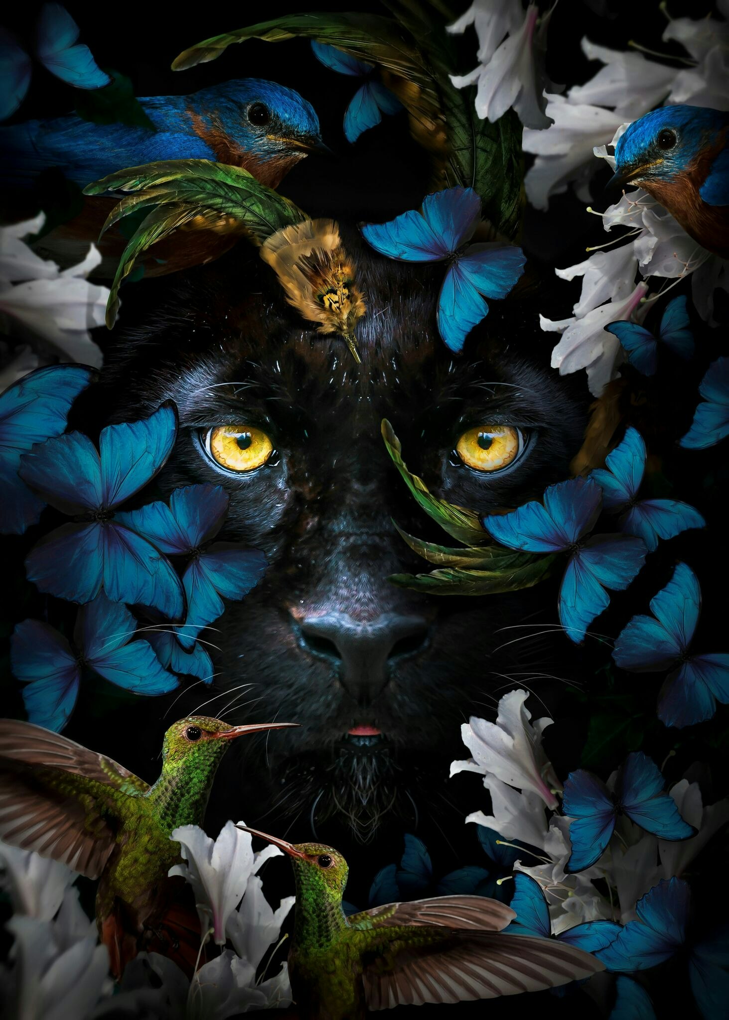Panter og blå sommerfugler ©MK5 studio