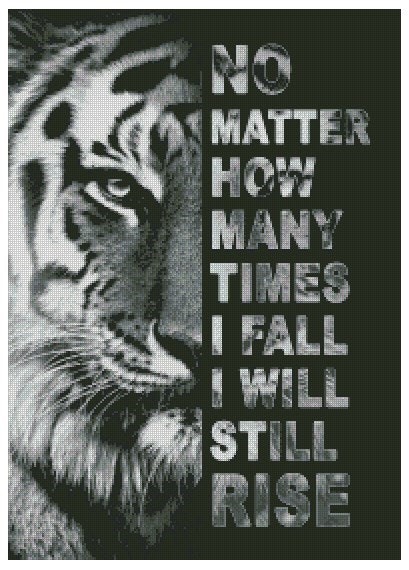 Tiger No matter how many times I fall.. ©MK5 studio