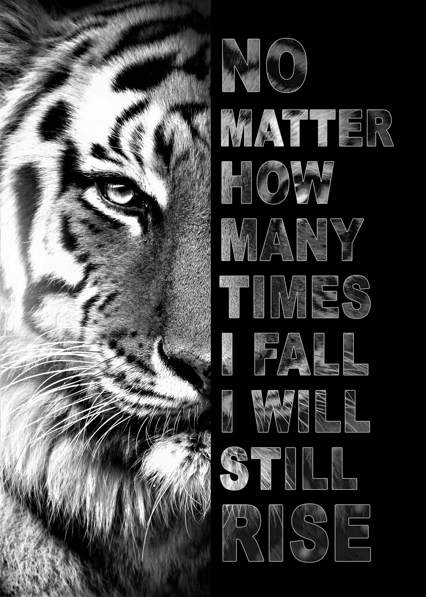 Tiger No matter how many times I fall.. ©MK5 studio
