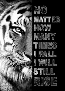 Tiger No matter how many times I fall..