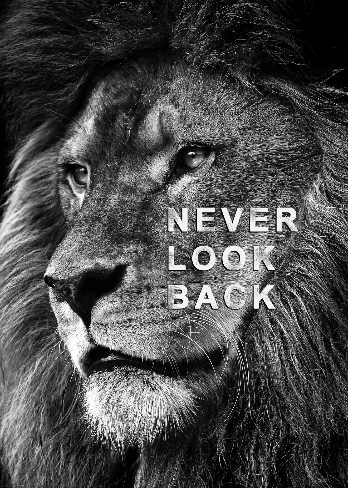 Løve Never look back ©MK5 studio
