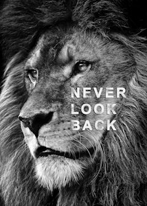 Løve Never look back ©MK5 studio