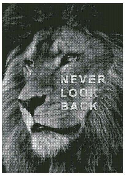 Løve Never look back ©MK5 studio