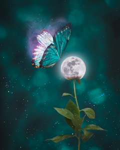 Moonflower ©Global.annihilation