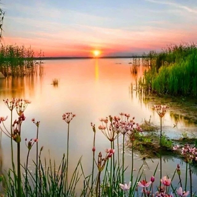 Solnedgang i pastell