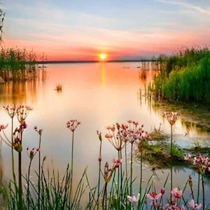 Solnedgang i pastell